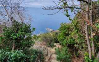 Punta Chiappa
