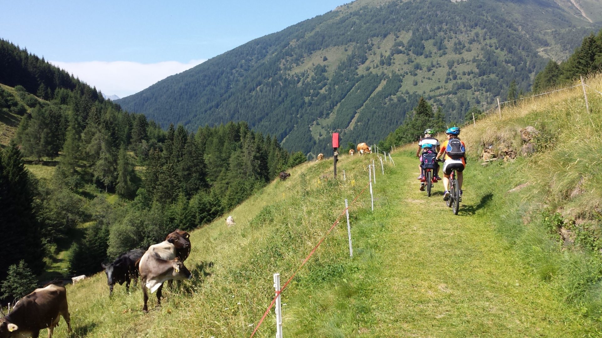 Valcamonica, MTB