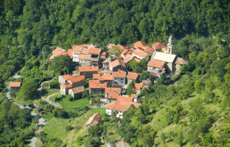 Valbrevenna, Tonno