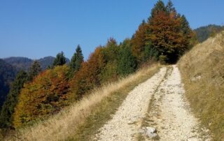 Lessinia