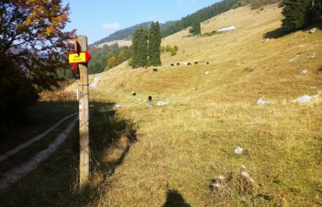 Lessinia