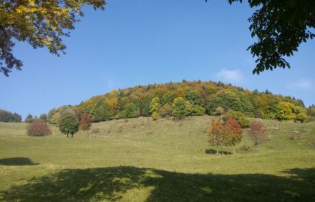 Lessinia
