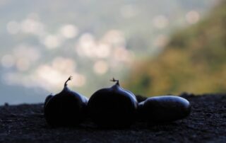 Torno-Montepiatto